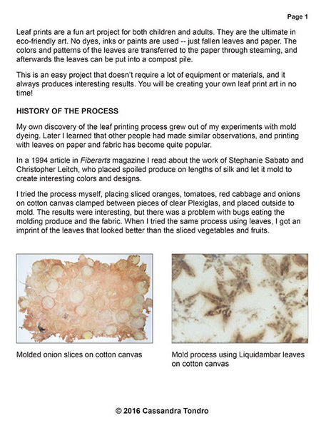 Cassandra Tondro Leaf Prints on Paper Tutorial
