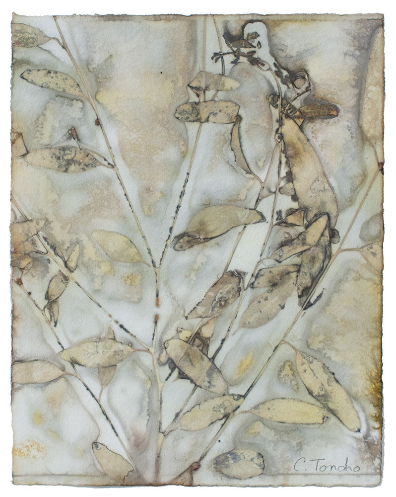 Cassandra Tondro leaf print