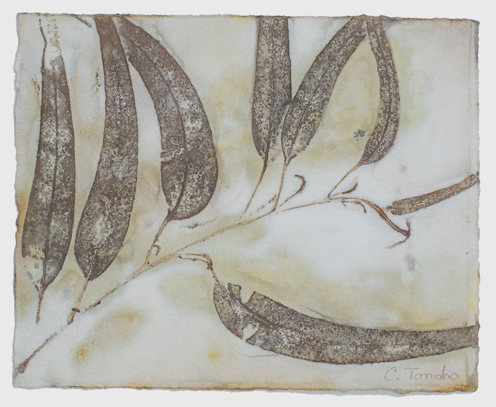 Cassandra Tondro leaf print