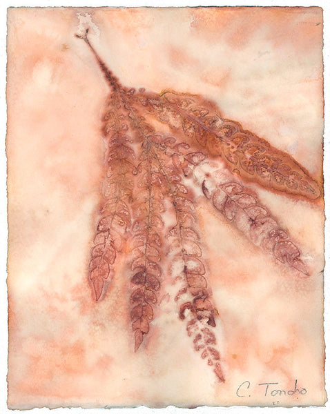 Leaf Prints on Paper – Cassandra Tondro Art