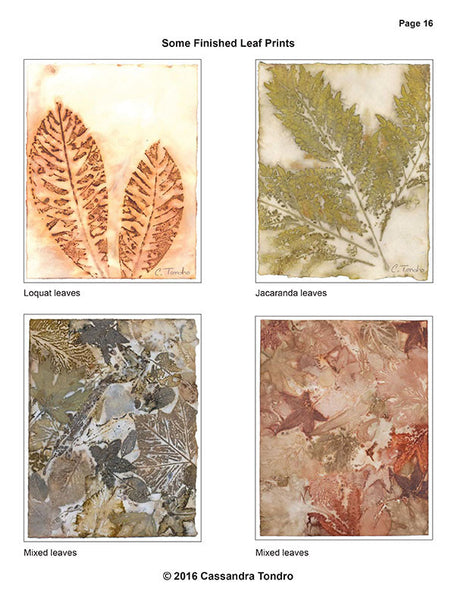 Cassandra Tondro Leaf Prints on Paper Tutorial