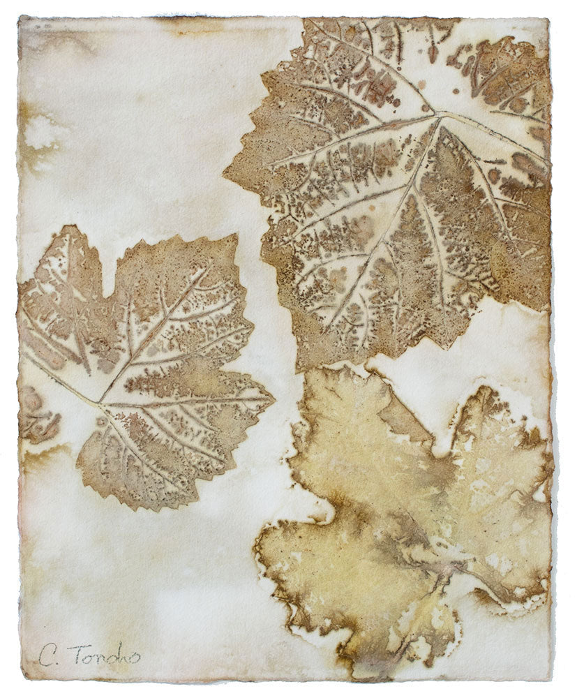Cassandra Tondro leaf print