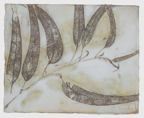 Leaf Prints on Paper – Cassandra Tondro Art