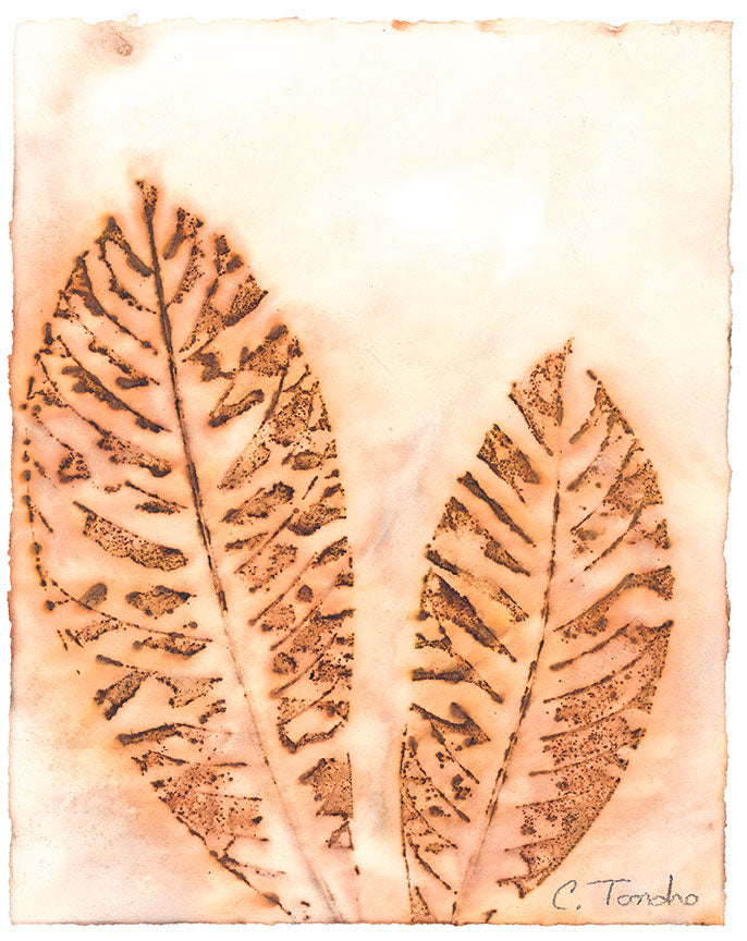 Cassandra Tondro Loquat leaf print green art