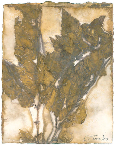 Cassandra Tondro Birch leaf print green art
