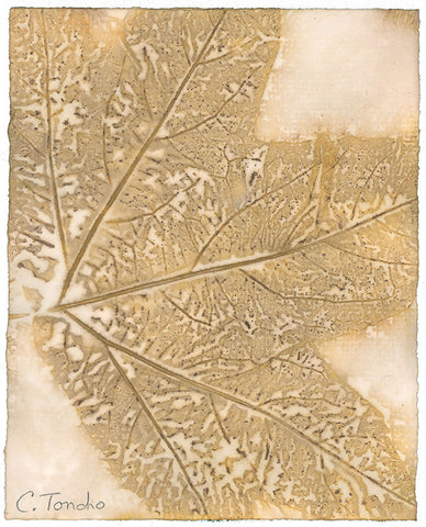 "Sycamore," original botanical leaf print, 10" x 8"