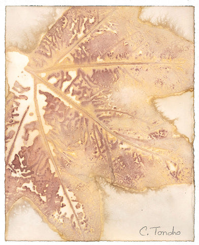 Cassandra Tondro, leaf print, "Sycamore," natural art