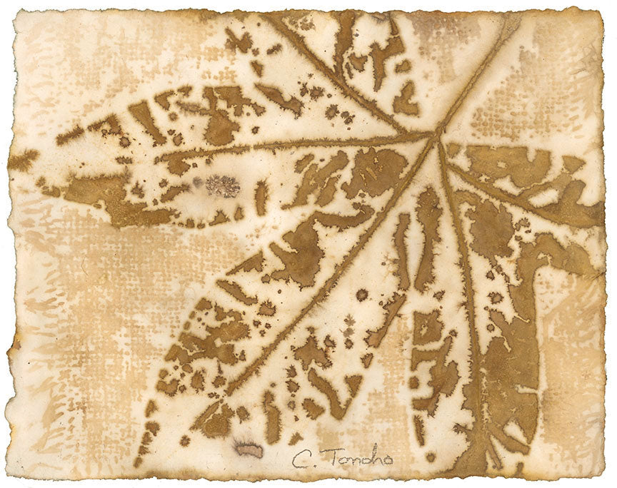 Cassandra Tondro, leaf print, "Sycamore," leaf art