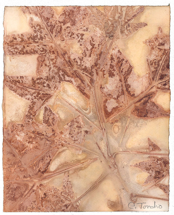 Cassandra Tondro, leaf print, "Liquidambar," plant art