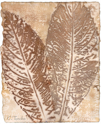 Cassandra Tondro, leaf print, "Loquat," leaf on paper